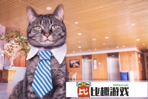 荣耀终端股份有限公司获上市辅导备案