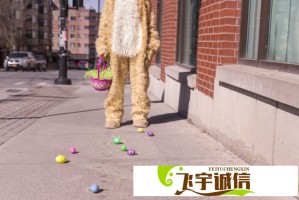 中国东方航空的服务如何提升乘客体验？