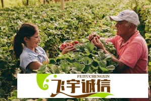 上海三大国资平台坚定看好中国资本市场发展前景