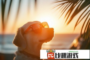 易烊千玺中国传媒大学VCR上线，点击量破百万！