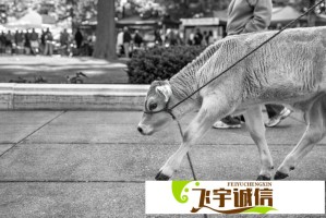 协和医学院医学博士发声：揭露医疗行业不为人知的真相