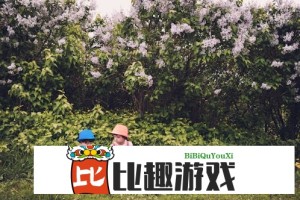 伊斯兰合作组织强烈谴责以色列在中东地区的攻击行为
