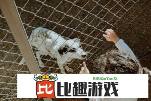 蚂蚁爬进生煎馒头？专家教你如何辨别食品卫生