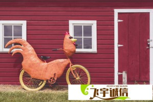 王楚然妖后角色为何引发全网热议？深度解析其魅力所在