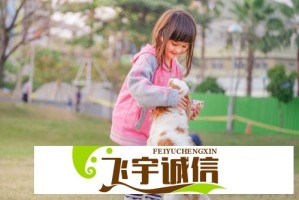 张哲华不愧是大厂严选，他的成功经验值得学习