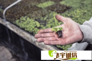 狼被东北虎饲养员吓到发抖，动物园回应：纯属意外