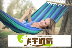 年美国农场达达：农业现代化的关键转折点