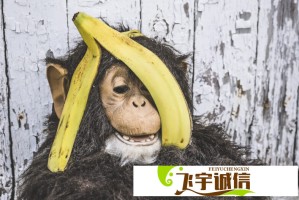 谢霆锋回忆杀！你们的青春也是我的青春，那些经典瞬间你还记得吗？