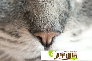 于正为何突然承认自己鲁莽？背后原因令人深思
