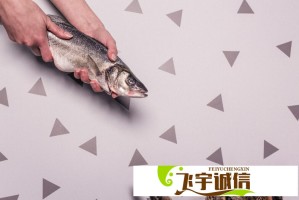 免费获取B站精彩视频观看资源的有效途径：了解用户人数和观看体验