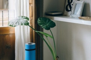 华妃只认第一学历：你的学历够格吗？