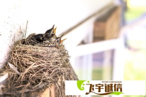 BLG战队成员年薪排行榜，Uzi复出后薪资暴涨
