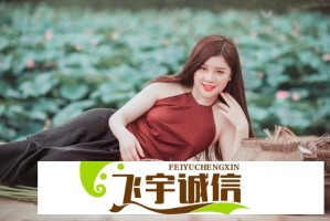 唐朝诡事录之下南洋：揭开历史迷雾中的血泪航线