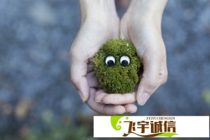 孙燕姿演唱会肖战低调现身，粉丝：这才是真友情