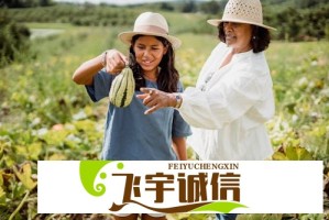 无限暖暖数据异常公告：问题已定位并修复