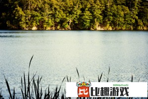 陈哲远包场支持独一无二，网友：太壕了！