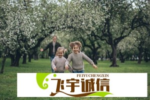为什么开发者都在找免费的视频API接口？真相揭秘
