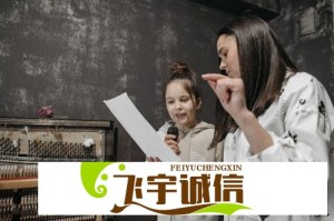 购买欧美SUV的考虑因素有哪些？：分析各品牌优势与消费者需求