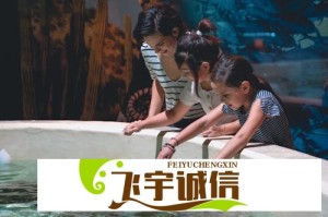 与辉同行也要做文旅，与东方甄选业务版图重叠