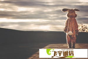 周二热门中概股普跌 纳指金龙指数大跌逾，阿里巴巴跌%