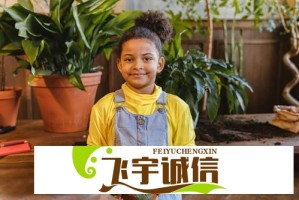黄游游戏下载攻略，选择安全可靠平台，畅享优质游戏体验