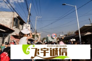 漫蛙V漫画官网入口在哪？如何下载最新漫画？