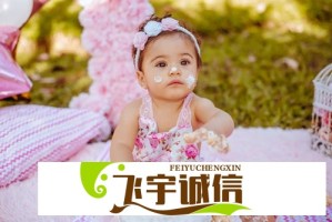 菠萝导航，如何选择最适合你的网站导航工具？