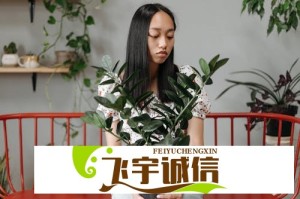 夫妻档营销？邓超《五哈》被指暗助孙俪新剧宣传
