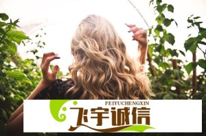 漫漫漫画在线观看免费版完整 - 全网最全漫画资源一网打尽
