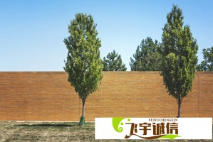 关晓彤造型被吐槽？她回应称只为走路方便，引发网友讨论