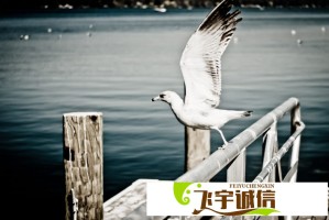 美国宣布日起对钢制家电加征关税，洗衣机冰箱在列