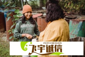 金价突破历史新高！现在投资黄金还来得及吗？