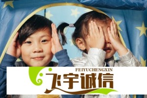 柯淳片酬为何这么高？业内人士深度解析