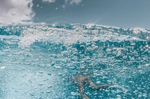 如何区分铜、铁、铜钢的特点和用途是什么？