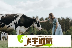 离婚回娘家陪爸爸睡，如何平衡亲情与个人空间？