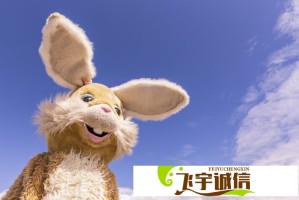美国街头现惊人一幕：运钞车掉落万现金遭路人哄抢