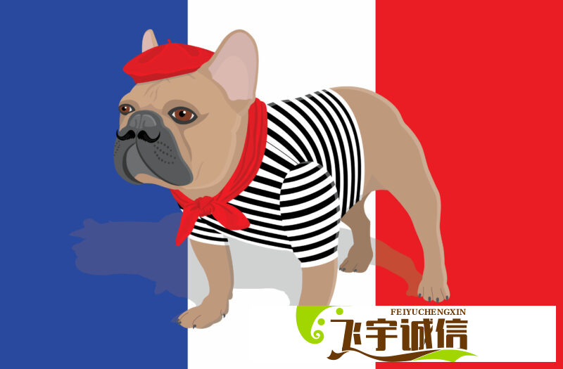 6816png