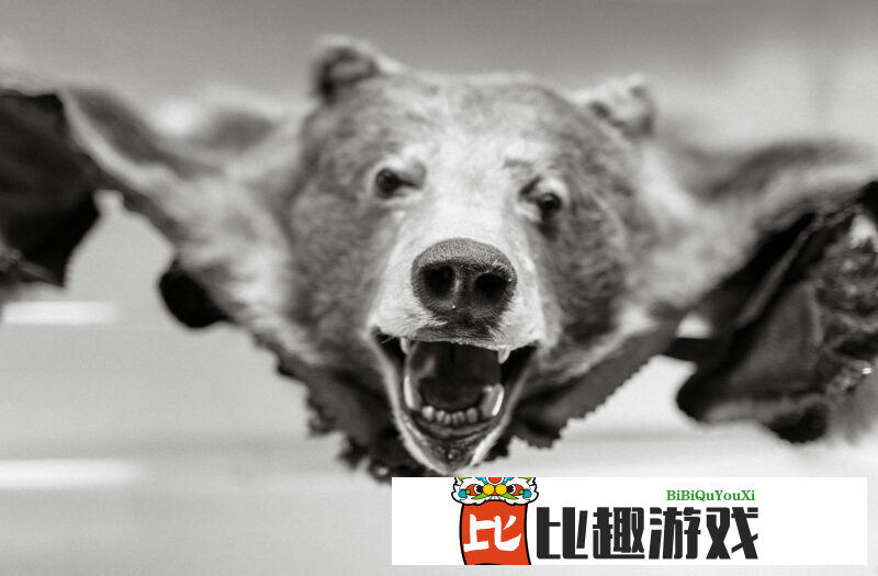 8181png 8181png